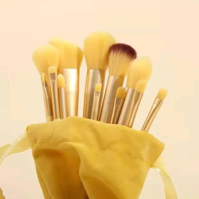 Elegant 13pc Makeup Brush Kit